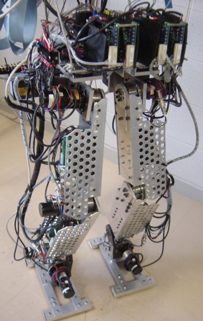 Biped Walking Robot